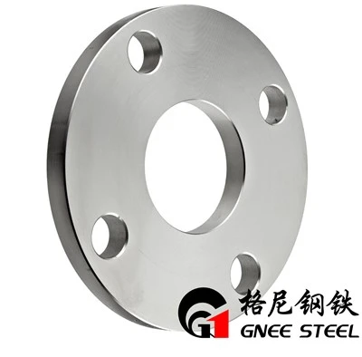 ASTM A182 304 316 Flangia e coperchio in acciaio inossidabile