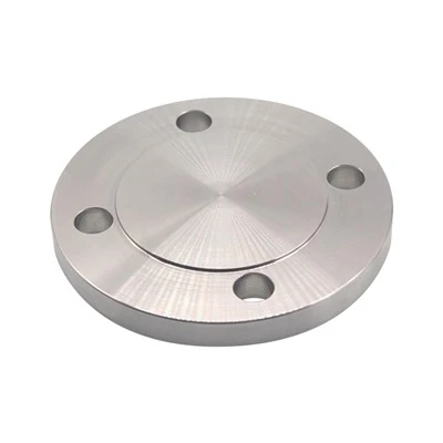 Flange cieche in Hastelloy